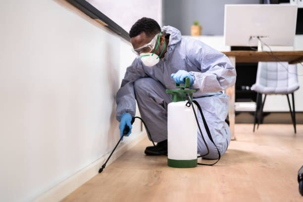 Best Real Estate Pest Inspections  in Miller Place, NY